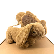 Coach Bunny Slipper